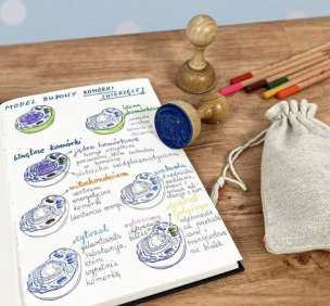 Stempel edukacyjny - model 3D budowy komórki zwierzęcej