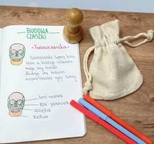 Stempel edukacyjny - mózgoczaszka (1)