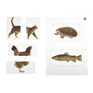 Kapitan Nauka. Teczka Montessori. 2 lata