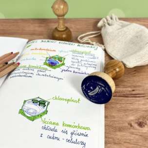 Stempel edukacyjny - model 3D budowy komórki roślinnej