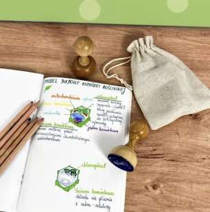 Stempel edukacyjny - model 3D budowy komórki roślinnej