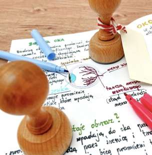 Stempel edukacyjny - przekrój ludzkiego oka