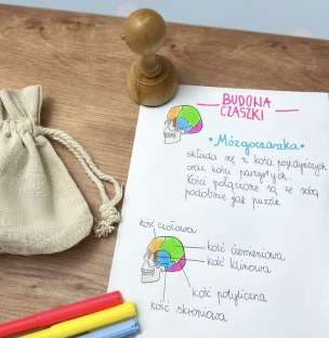 Stempel edukacyjny - mózgoczaszka
