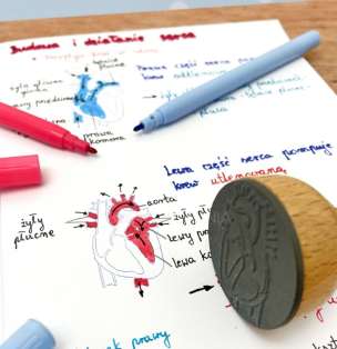 Stempel edukacyjny - model 3d budowy serca