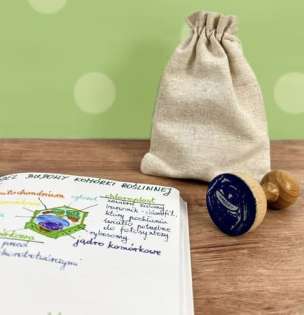 Stempel edukacyjny - model 3D budowy komórki roślinnej