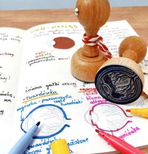Stempel edukacyjny - przekrój ludzkiego oka
