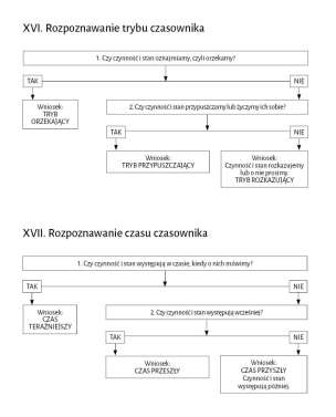 Proste reguły. Algorytmy gramatyczne z ćwiczeniami dla klas IV–VIII