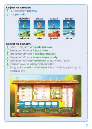 Ptaszki - edukacyjna gra karciana
