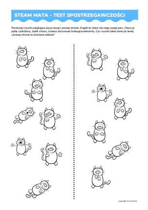 Edukacyjna Mata STEAM z interaktywną obudową cyfrową