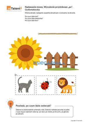 mTalent Wczesne wspomaganie rozwoju (2+) - program multimedialny