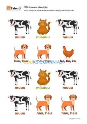 mTalent Wczesne wspomaganie rozwoju (2+) - program multimedialny