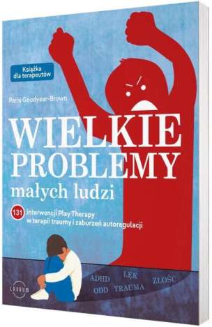 Wielkie problemy małych ludzi. 131 interwencji Play Therapy w terapii traumy i zaburzeń autoregulacji