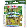 BrainBox. Niebezpieczne zwierzęta - gra na spostrzegawczość i pamięć