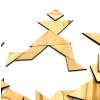 Silver. TANGRAM - gra edukacyjna