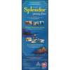 Splendor. Jedwabny Szlak - dodatek do gry