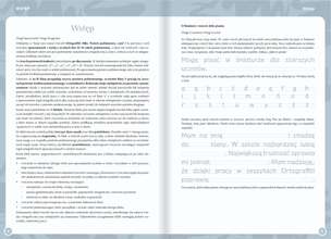 Ortograffiti. Miks. Poziom podstawowy. Czytam, rozumiem, piszę. Część 1. Klasy IV-VI (nowa wersja)