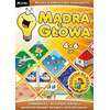 Mądra głowa (4-6 lat) - edukacyjny program komputerowy