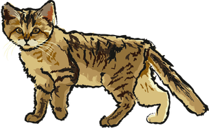 BrainBox. Świat - gra na spostrzegawczość