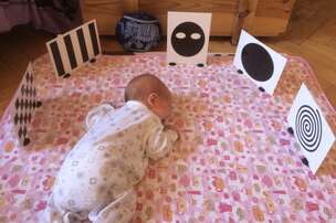 Stymulacja rozwoju funkcji poznawczych w wieku niemowlęcym