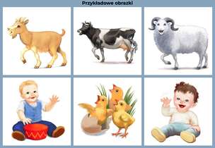 DADiD. Diagnoza artykulacji dzieci i dorosłych - podręcznik, karty diagnozy, zestawy obrazków