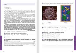 Język polski. Testy piątoklasisty. Zadania i arkusze z odpowiedziami
