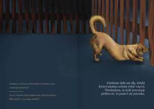 Potrafisz. Zawsze masz wybór – picturebook