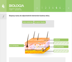 Multimedialne Pracownie Przedmiotowe. Biologia. Klasy 5-8 (wersja pudełkowa – dla nauczycieli)