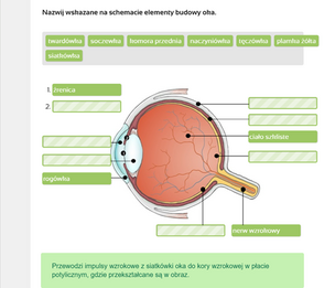 Multimedialne Pracownie Przedmiotowe. Biologia. Klasy 5-8 (wersja pudełkowa – dla nauczycieli)