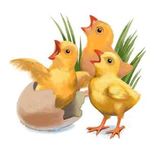 DADiD. Diagnoza artykulacji dzieci i dorosłych - podręcznik, karty diagnozy, zestawy obrazków