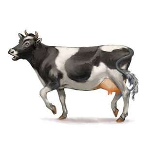 DADiD. Diagnoza artykulacji dzieci i dorosłych - podręcznik, karty diagnozy, zestawy obrazków