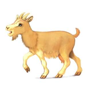 DADiD. Diagnoza artykulacji dzieci i dorosłych - podręcznik, karty diagnozy, zestawy obrazków