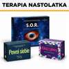 EduPakiet Mijamy się. Terapia nastolatka (Pewni siebie + SOR + Klikaj z głową) - ZESTAW 3 gier terapeutycznych