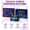 Mijamy się. Pakiet Terapia spektrum autyzmu (Kontakt + SOR + Pewni Siebie) - ZESTAW 3 gier