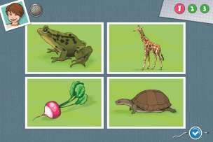 Dysleksja (EduSensus). Program multimedialny - Pakiet profesjonalny (pakiet I i II)