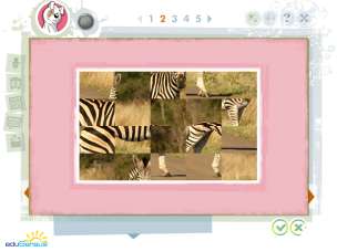 Dysleksja PRO (EduSensus). Program multimedialny - Pakiet profesjonalny (pakiet I i II) (wersja 3.0)