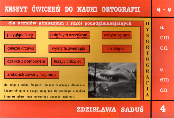 Dysortografia. Zeszyt ćwiczeń do nauki ortografii dla uczniów gimnazjum