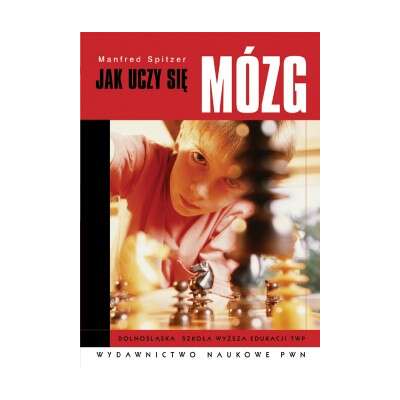 Jak uczy się mózg