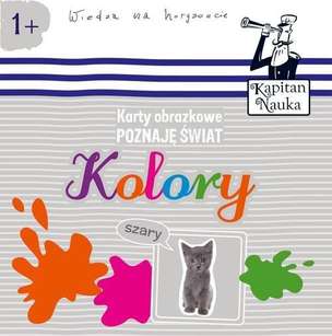 Karty obrazkowe. Poznaję świat - Kolory