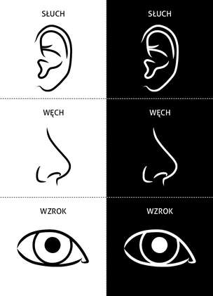 Kręć się, biegaj, baw się z nami - Zestaw kart do terapii integracji sensorycznej