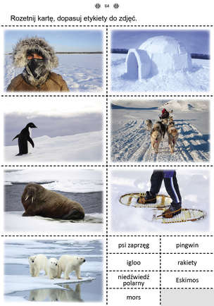 Uczę się z kartami pracy. Karty pracy dla uczniów z niepełnosprawnością intelektualną. Z elementami przysposobienia do pracy. Część 2