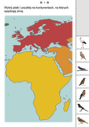 Uczę się z kartami pracy. Karty pracy dla uczniów z niepełnosprawnością intelektualną. Z elementami przysposobienia do pracy. Część 3