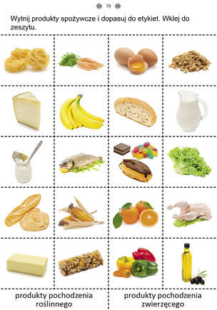 Uczę się z kartami pracy. Karty pracy dla uczniów z niepełnosprawnością intelektualną. Z elementami przysposobienia do pracy. Część 3