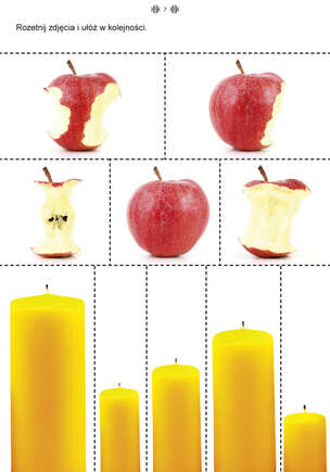 Matematyka. Karty pracy dla uczniów z niepełnosprawnością intelektualną. Część 1