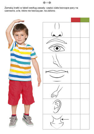 Matematyka. Karty pracy dla uczniów z niepełnosprawnością intelektualną. Część 1