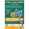 Mały Odkrywca idzie do szkoły - Ciało człowieka