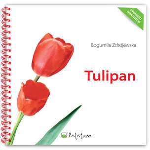 Opowieści Montessori. Tulipan