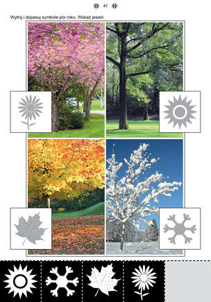 Poznaję i rozumiem świat 1 - Karty pracy dla uczniów z niepełnosprawnością intelektualną, dla przedszkoli i zespołów rewalidacyjno-wychowawczych