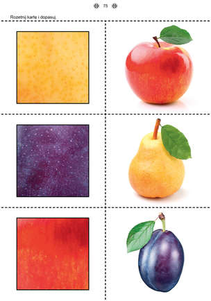 Poznaję i rozumiem świat 1 - Karty pracy dla uczniów z niepełnosprawnością intelektualną, dla przedszkoli i zespołów rewalidacyjno-wychowawczych