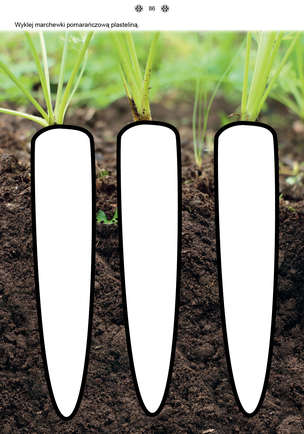 Poznaję i rozumiem świat 1 - Karty pracy dla uczniów z niepełnosprawnością intelektualną, dla przedszkoli i zespołów rewalidacyjno-wychowawczych