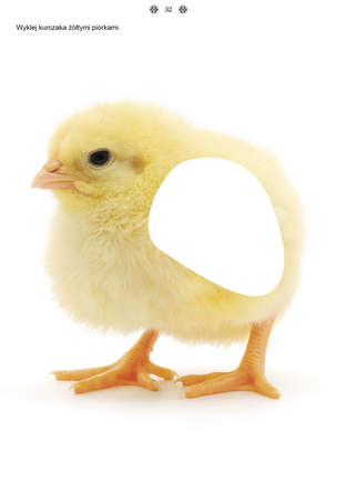 Poznaję i rozumiem świat 3 - Karty pracy dla uczniów z niepełnosprawnością intelektualną, dla przedszkoli i zespołów rewalidacyjno-wychowawczych